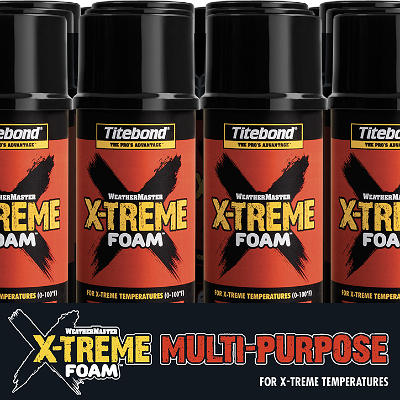 X-TREME Multi-Purpose foam 12oz 8521 Cut Case